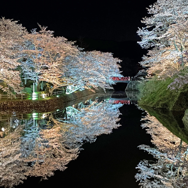 観光情報：鹿野城跡公園の桜