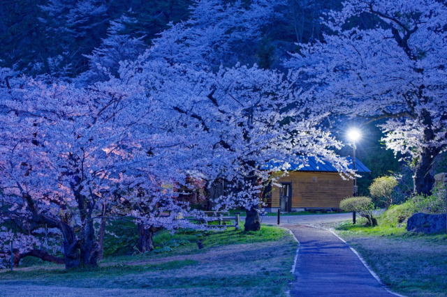 観光情報：きみまち阪県立自然公園2