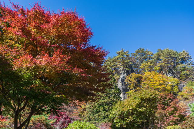 観光情報：きみまち阪県立自然公園3