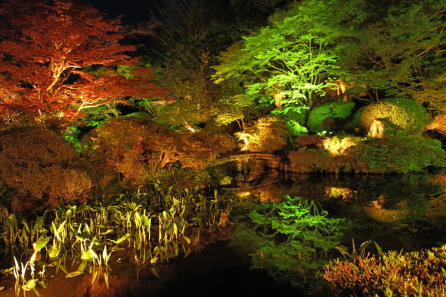 観光情報：十和田大湯温泉2