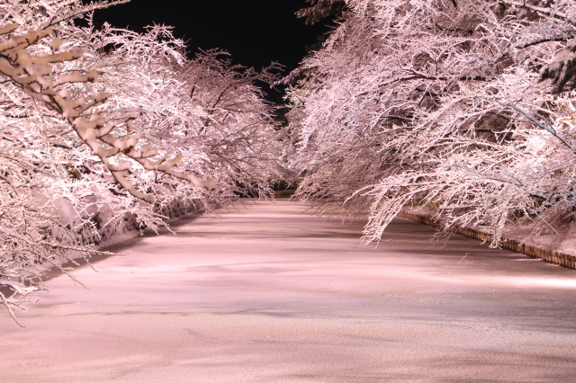 観光情報：弘前公園｜冬