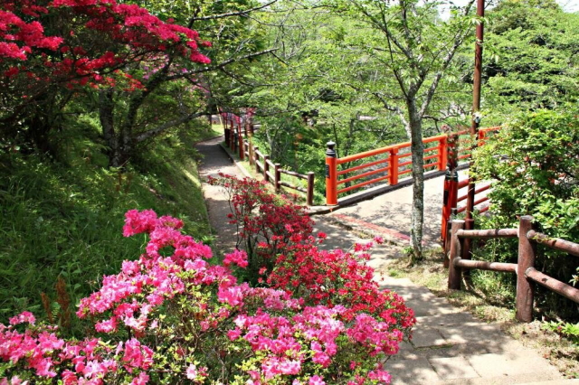 観光情報：小見川城山公園3