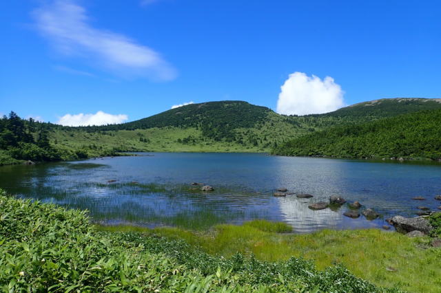 観光情報：鎌沼