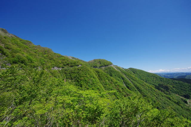 観光情報：伊吹山ドライブウェイ2