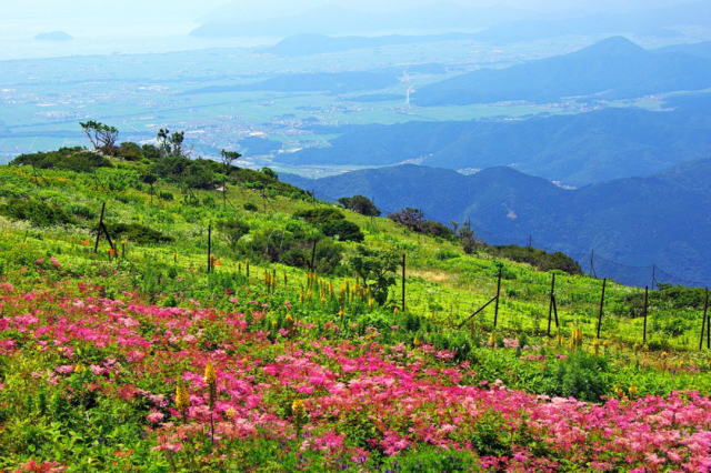 観光情報：伊吹山ドライブウェイ3