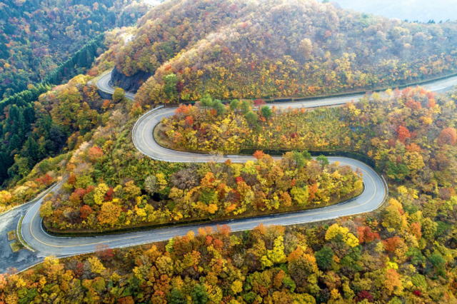 観光情報：伊吹山ドライブウェイ4