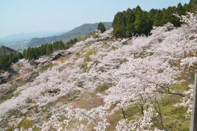 観光情報：古城山3