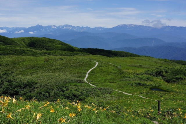 観光情報：白木峰