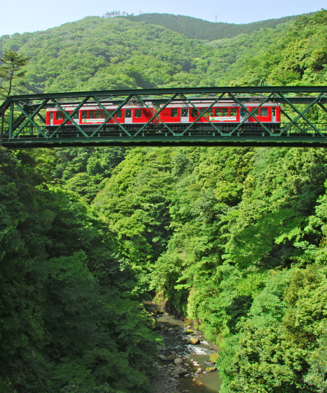 観光情報：早川橋梁1