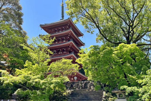 観光情報：竹林寺1