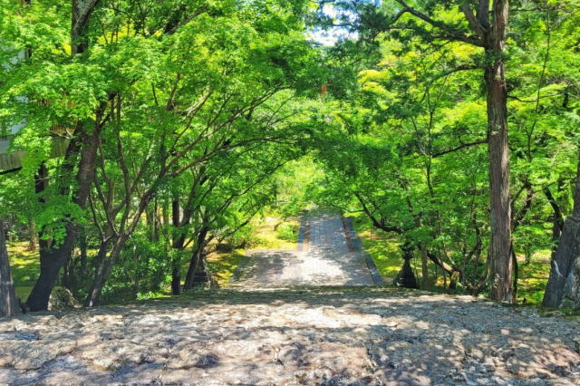 観光情報：竹林寺2