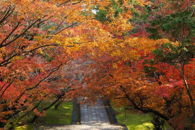 観光情報：竹林寺4