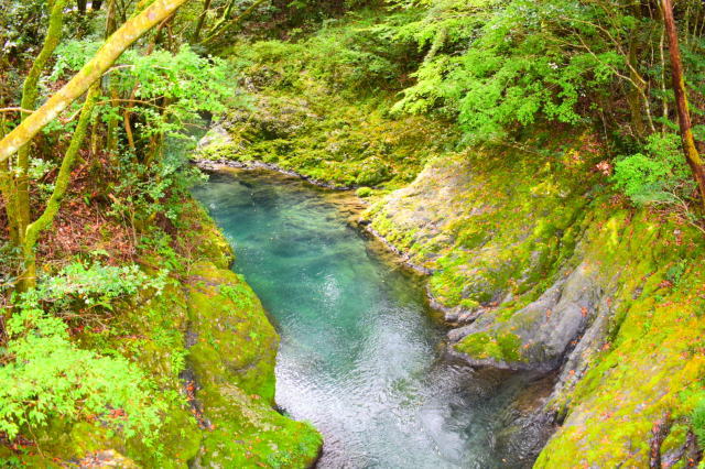 観光情報：久保谷森林セラピーロード2