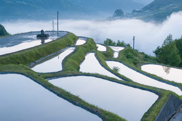 観光情報：八畝の棚田1