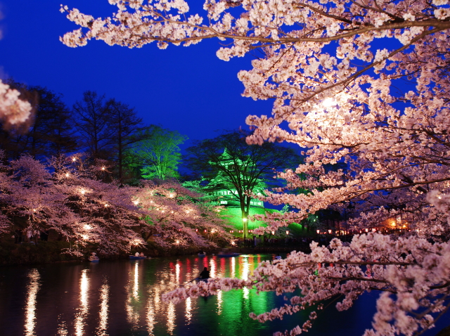 観光情報：高田城址公園の桜