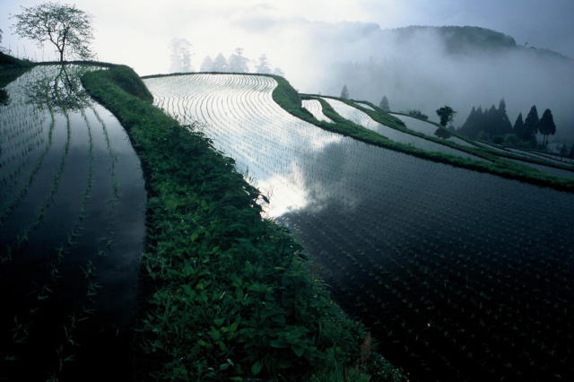 観光情報：畑の棚田2