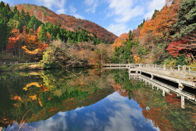 観光情報：もみじ池1