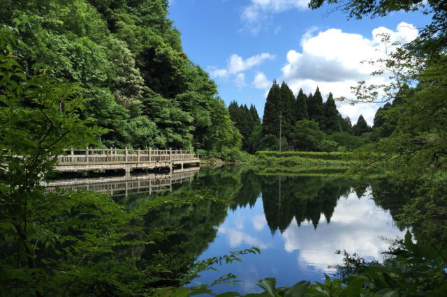 観光情報：もみじ池2