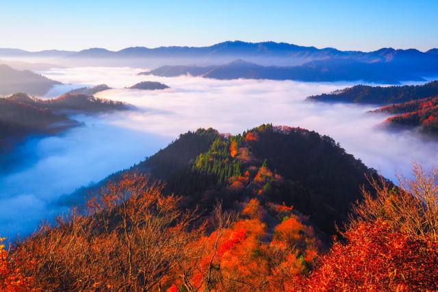 観光情報：おにゅう峠1