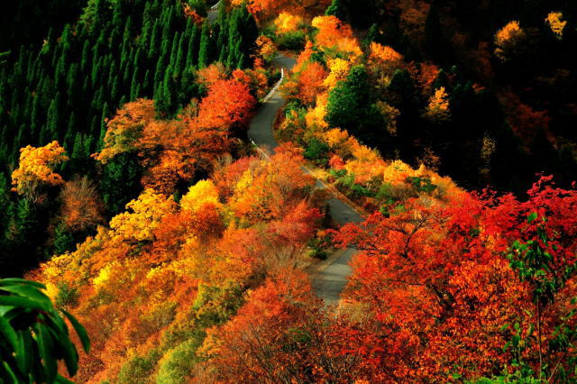 観光情報：おにゅう峠2