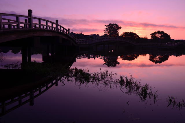 観光情報：乙女ヶ池