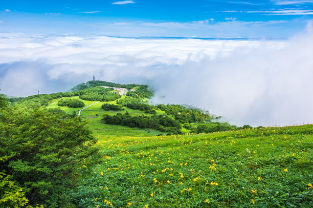 観光情報：霧降高原2