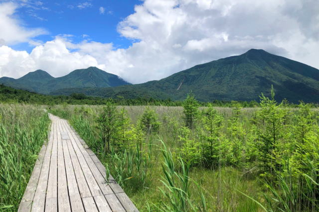 観光情報：戦場ヶ原1