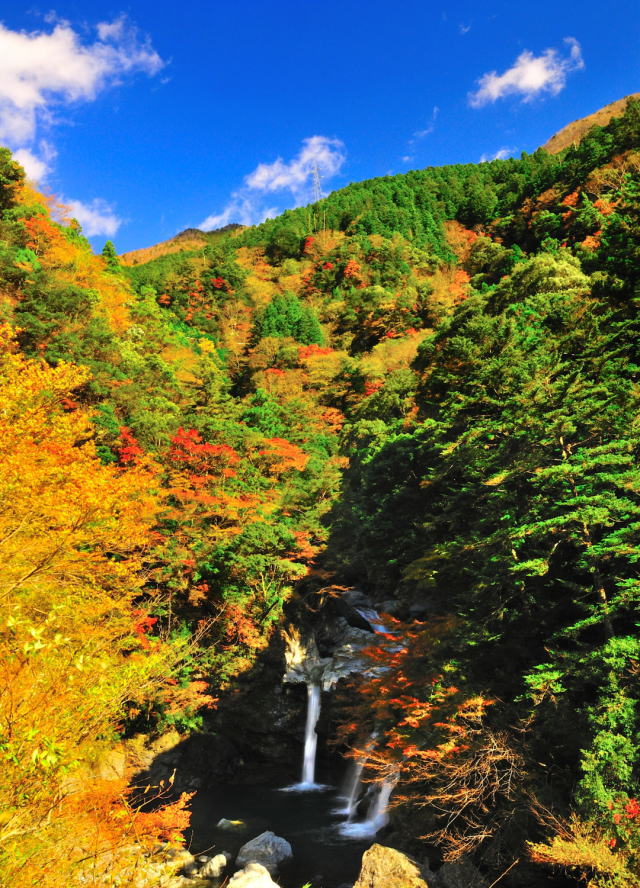 観光情報：大轟の滝2