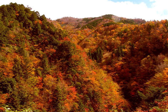 観光情報：竜ヶ岳2