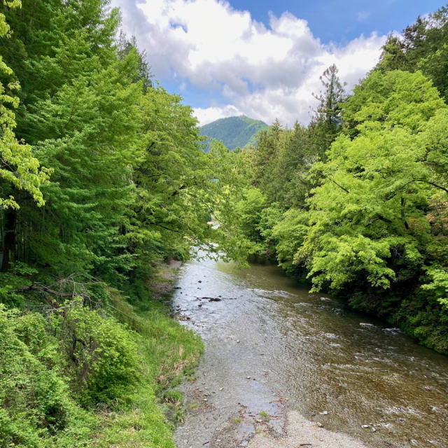 観光情報：秋川渓谷