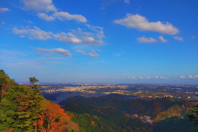 観光情報：かすみ台展望台1