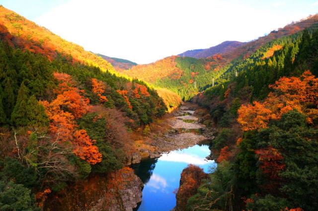 観光情報：神通峡1