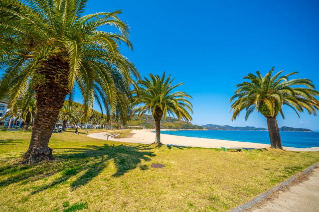 観光情報：片添ヶ浜海水浴場1