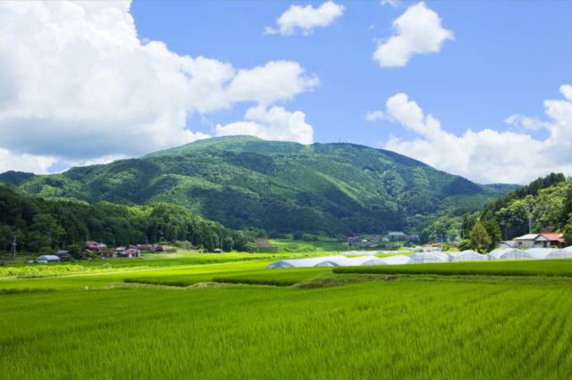 観光情報：十種ヶ峰