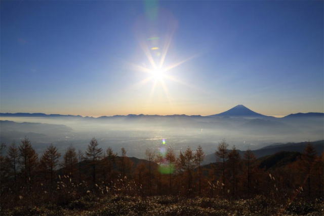 観光情報：甘利山3