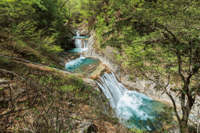 観光情報：西沢渓谷